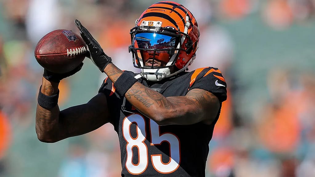 Tee Higgins